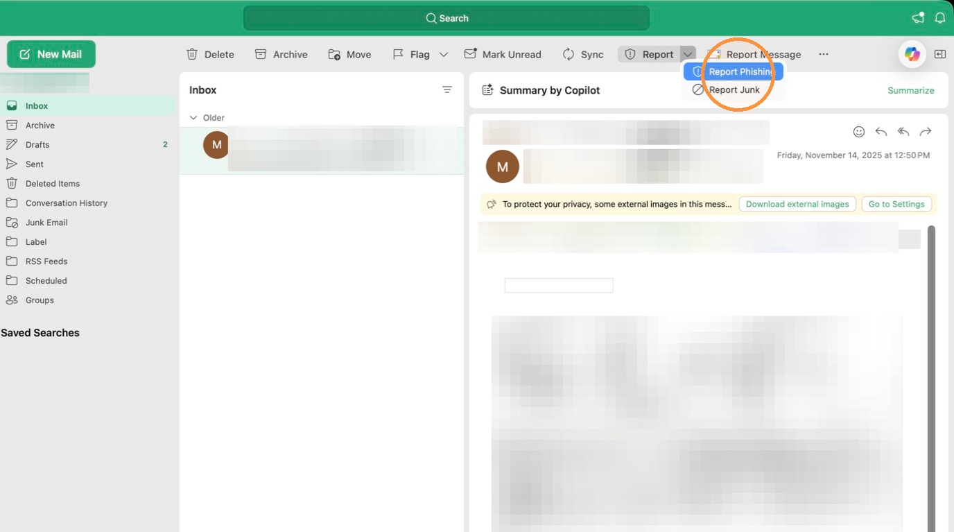 Screenshot for step 4: Click "Report Phishing"