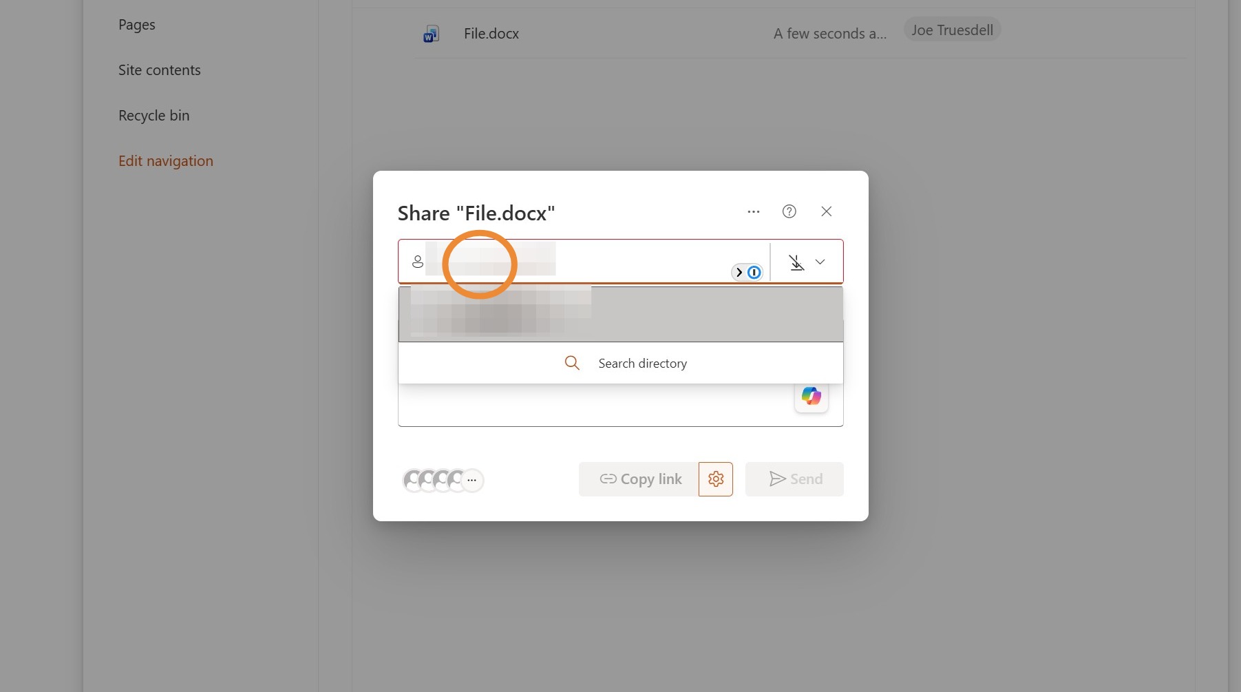Screenshot for step 9: Enter the email of the person you would like to share to.